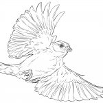 Chipping Sparrow in Flight