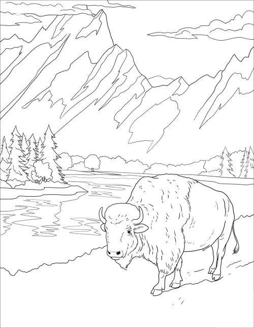 kolorowanka Wyoming