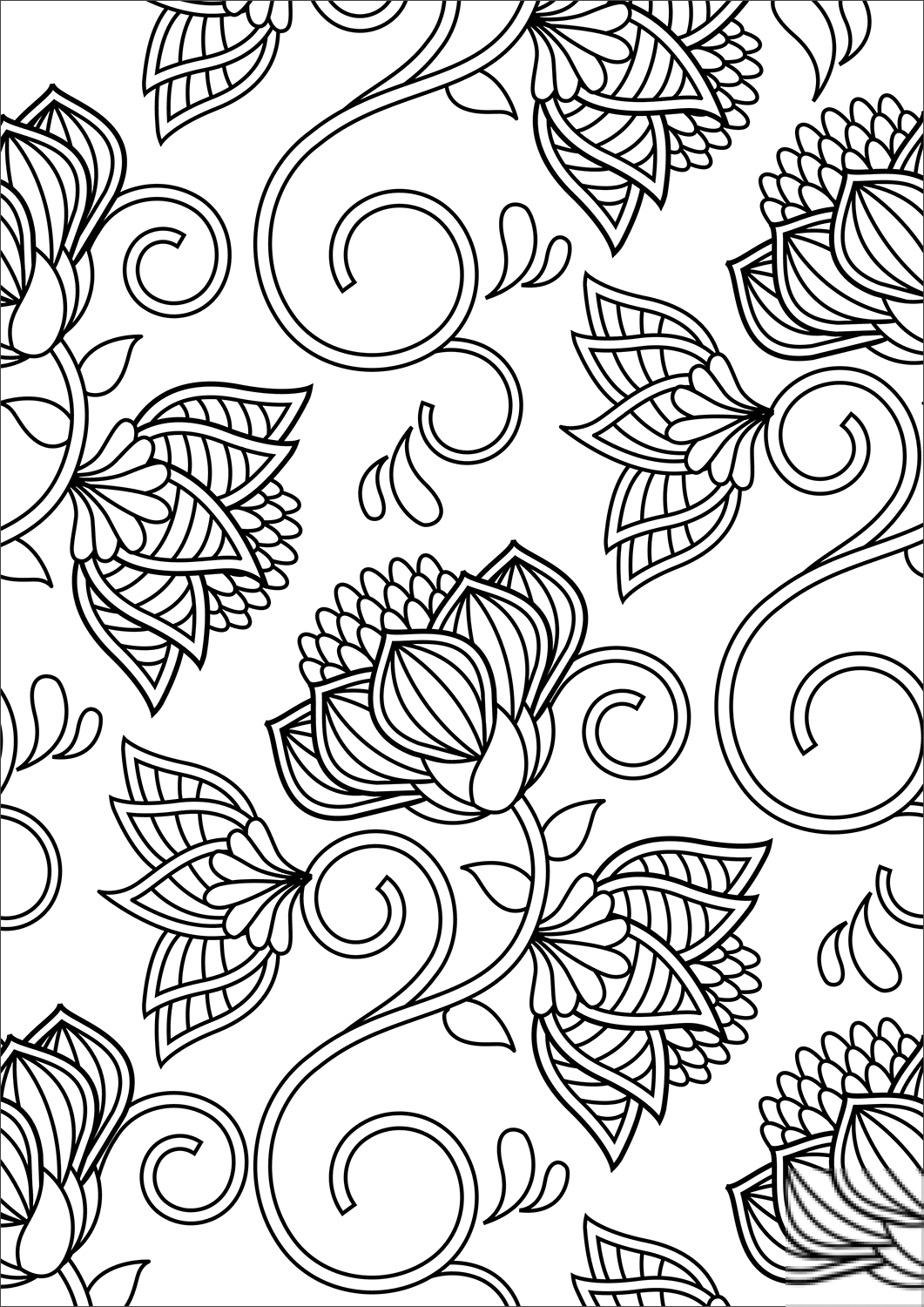Lotus Pattern