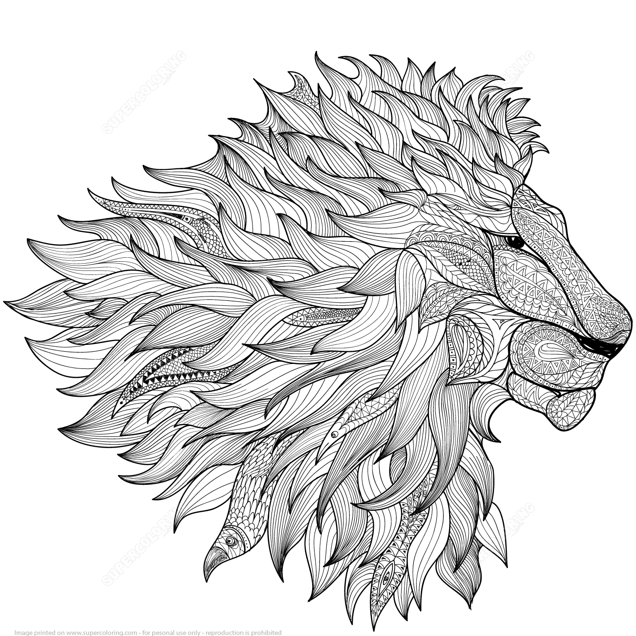 Lion Zentangle