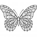 Zentangle Butterfly