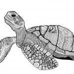 Zentangle Turtle