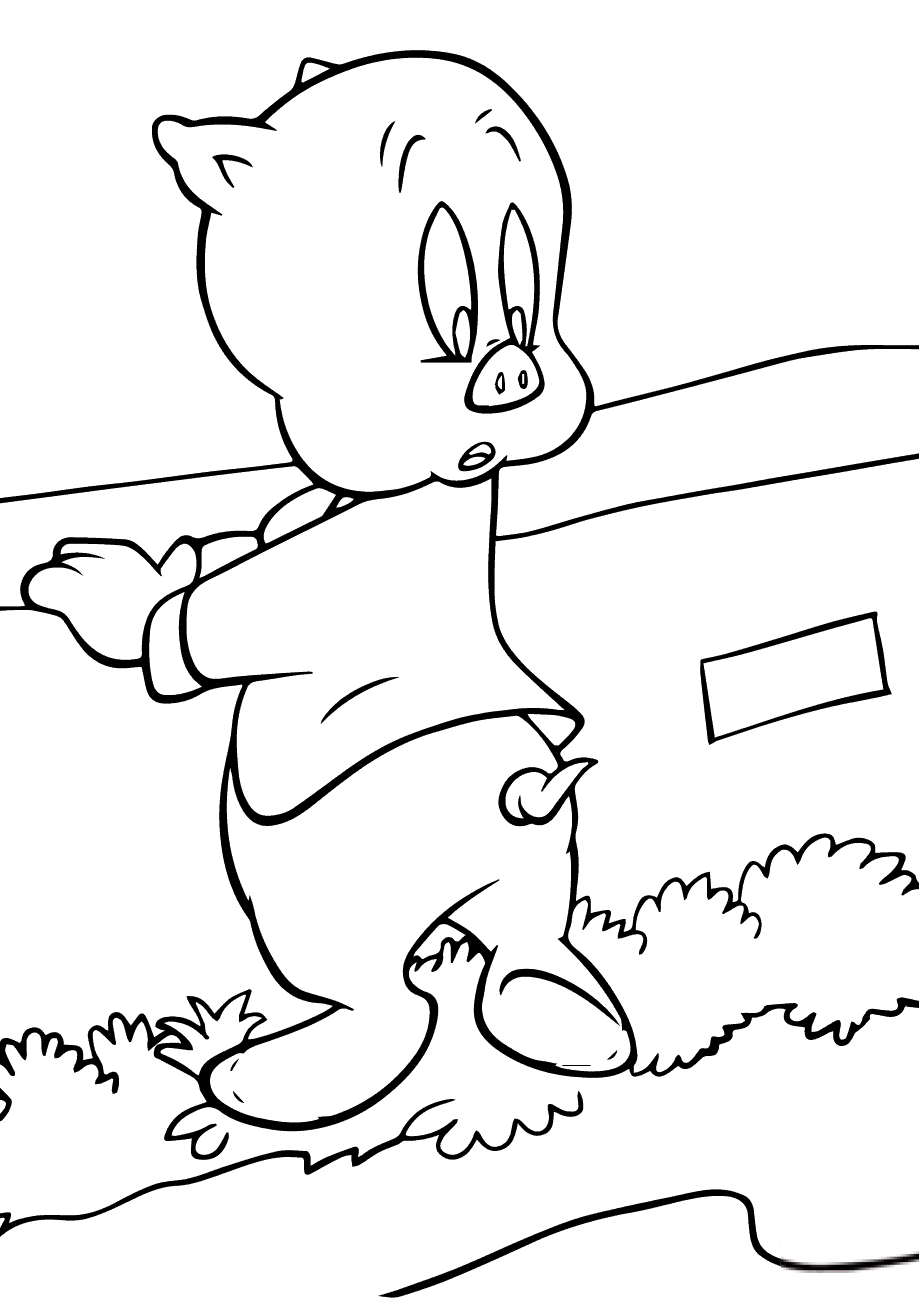Looney Tunes Porky Pig