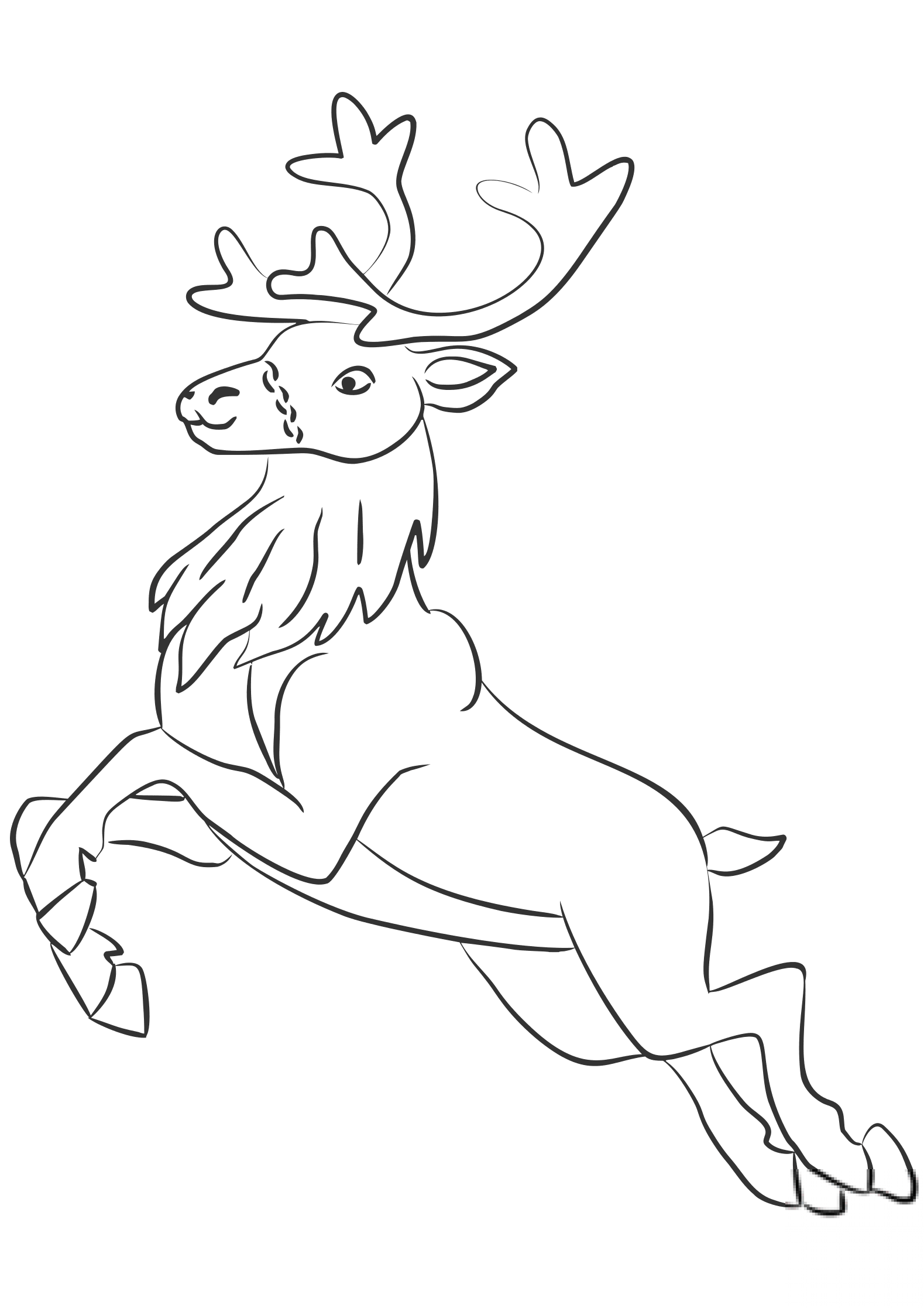 Santa Claus's Reindeer