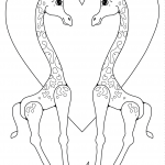 Two Giraffes in Love