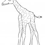 Cute Cartoon Baby Giraffe