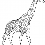 Realistic Giraffe