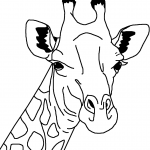 Giraffe Face